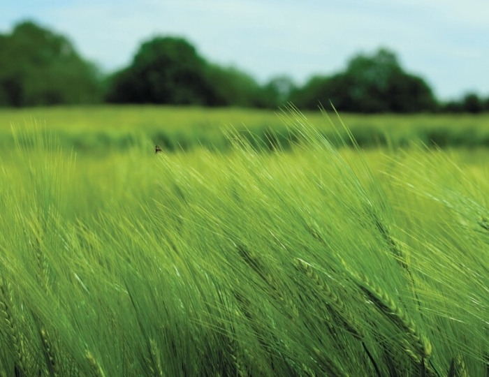 Легкое дыхание - Санаторий «Черноморье» РЖД-Здоровье Сочи