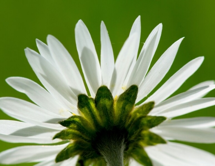 Оздоровительная - Лечебные программы - Санаторий «Черноморье» РЖД-Здоровье Сочи